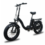 Biciclete electrice